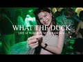 [ไฮไลท์คอนเสิร์ต] What the duck @วอมอัพคาเฟ่เชียงใหม่