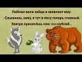 Анекдот до слёз Анекдот про волка,зайца и медведя)