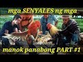 SENYALES NG MGA MANOK PANABONG PART #1