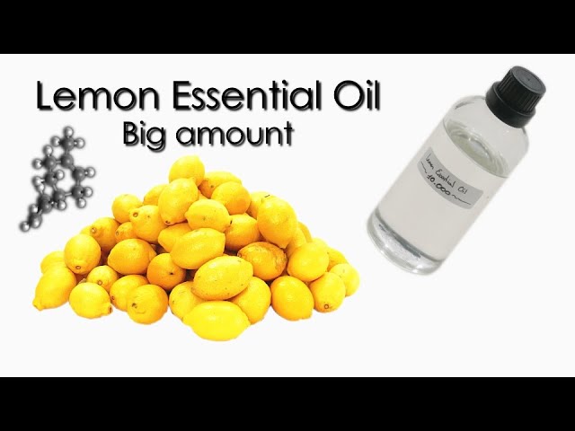 How to make lemon essential oil 🍋💦⚗️ 10K Subscribers special!!! class=