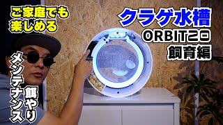 クラゲ水槽後編：ORBIT20を使ったクラゲ飼育編