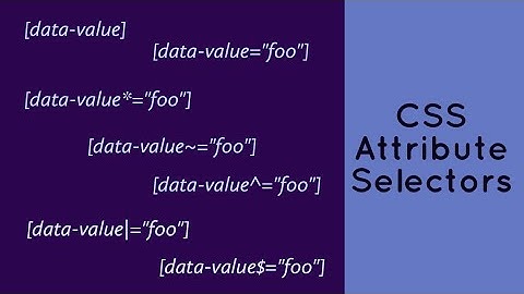 CSS Attribute Selectors Explained With Examples !