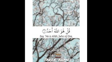 سوره الاخلاص كامله للقارئ الشيخ فارس عباد تلاوه خاشعه