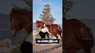 Tato technika s koněm opravdu funguje #equestrian #trending