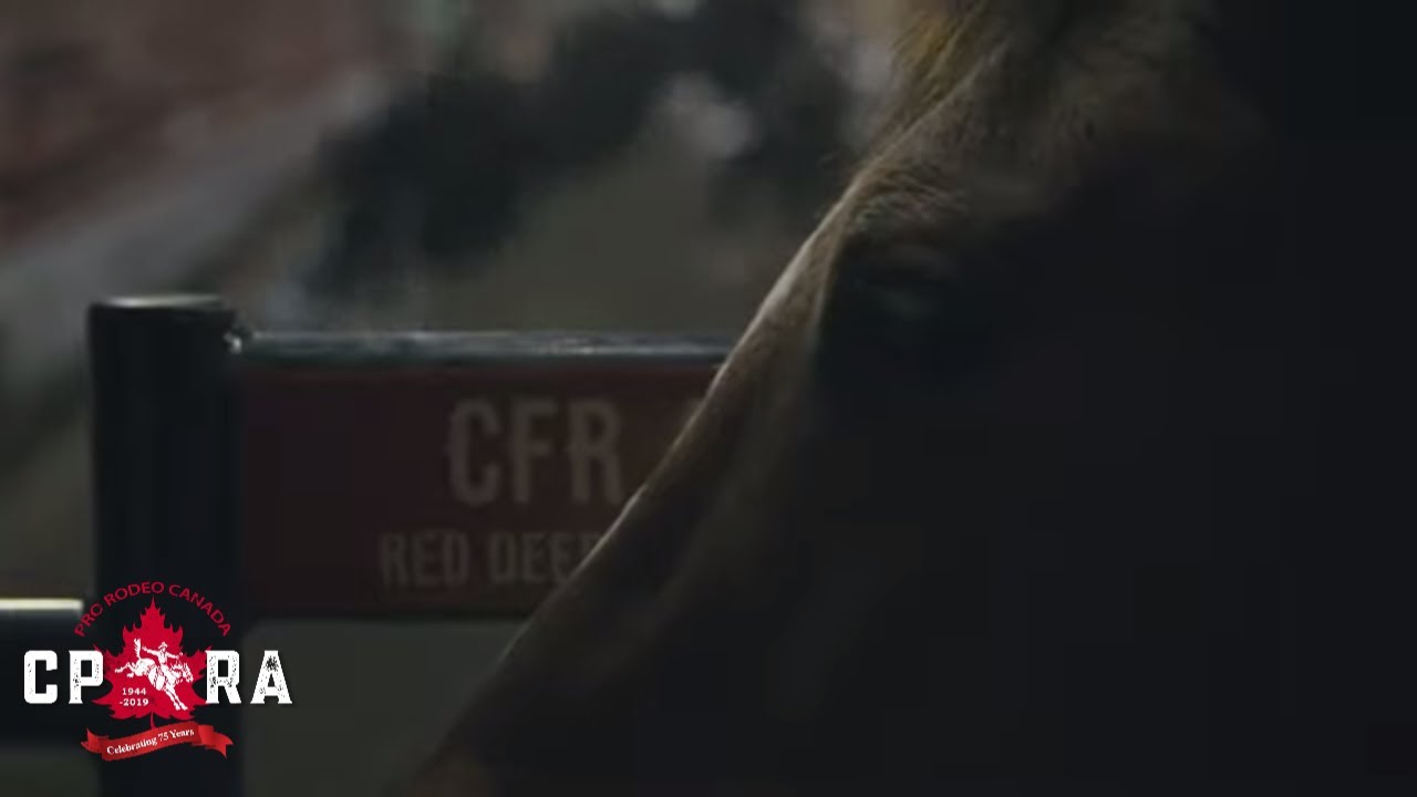 What Does A Canadian Title Mean To You? YouTube