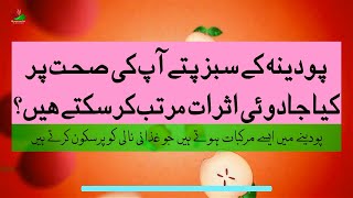 پودینہ کے سبز پتے آپ کی صحت پر کیا جادوئی اثرات مرتب کرسکتے ہیں؟