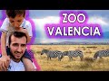 Zoo valencia  gradina zoologica din valencia  bioparc valencia  florin mr flo cutova