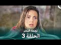 نجمة البحر الحلقة 3