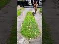 Cleaning days
