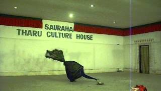 Peacock Dance at Sauraha Tharu Culture House