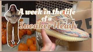 S2Ep2 *Week in the Life of a Sneaker Head* Yeezy MX OAT, Off-White Dunks