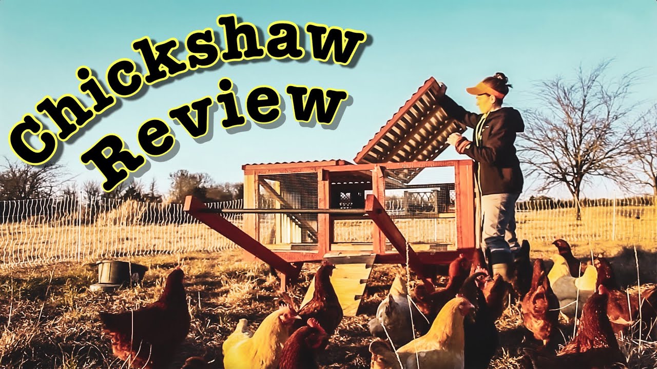 Is the JUSTIN RHODES Chickshaw any good?? YouTube