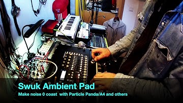 Make Noise 0 Coast/ A 4 /Panda Particle - Swuk Ambient