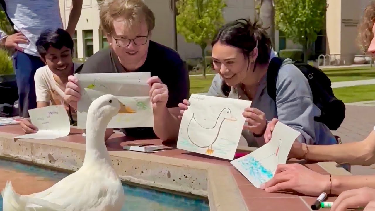 I took my duck to College ?? - YouTube