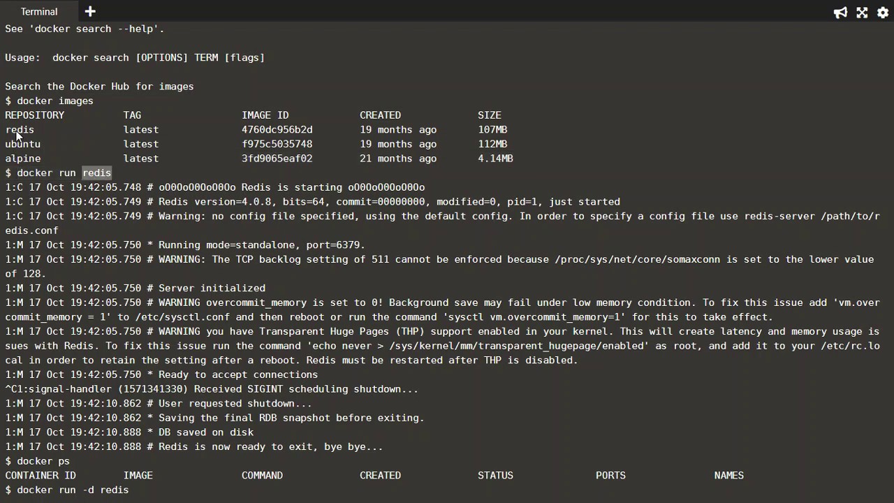 Error response from Daemon: Bad response from docker engine.. Find Terminal. No such container