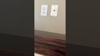 IMG 5798
