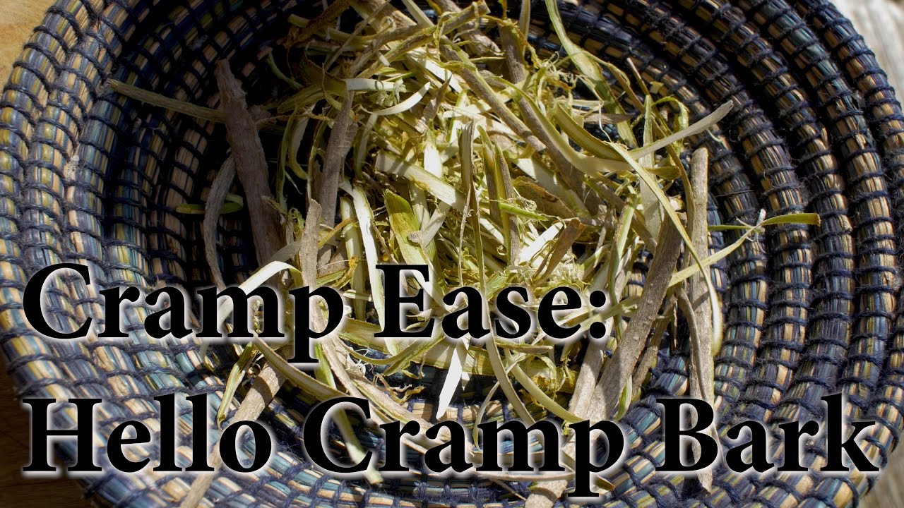 How To Harvest Cramp Bark