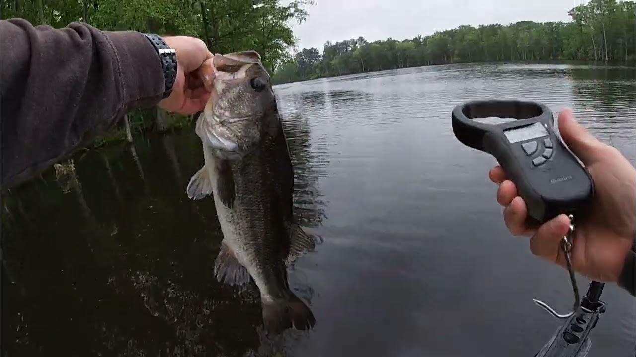 Best Rainy/Cloudy Day Bait for Bass YouTube
