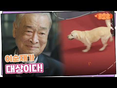 [개소리/Dog <strong>Knows</strong> Everything] | KBS 241031 방송