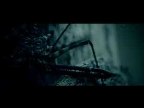 Dig My Own Grave Video