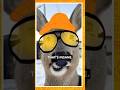 Bobby Lee looks like this DEER 🤣#bobbylee #badfriends #theovon #killtony #shanegillis #la #comedy