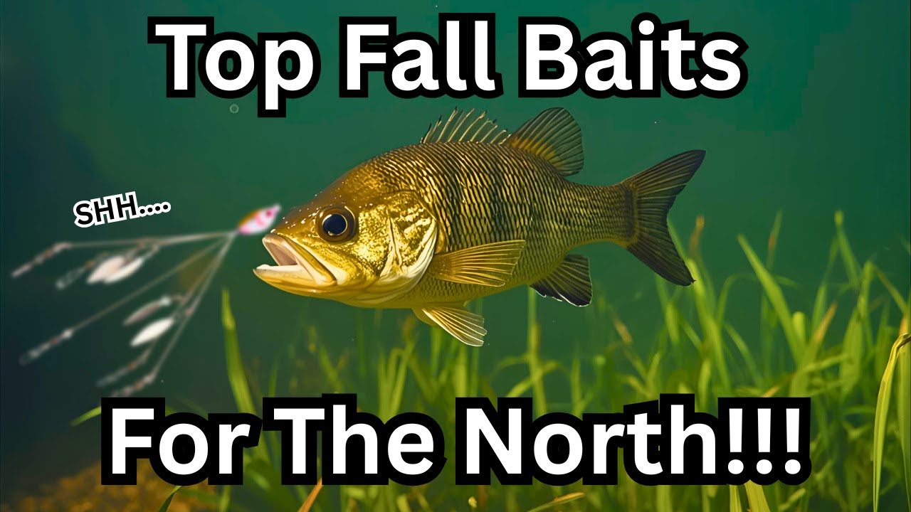 Top 5 Fall Bass Fishing Baits For The North!!!!