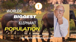 COUNTRY WITH MOST ELEPHANTS IN THE WORLD 😱‼️