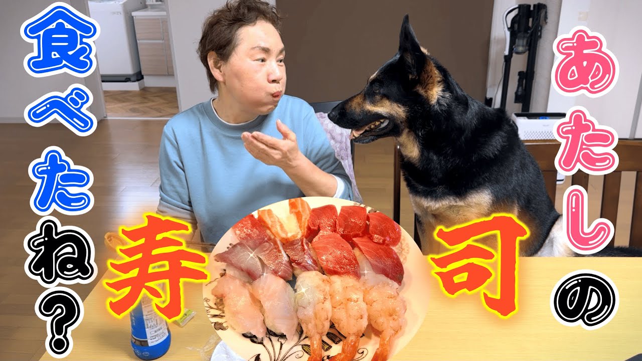 愛犬と一緒ににぎり寿司を作ったら、オババにも狙われましたw【ジャーマンシェパード】