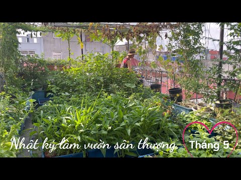 Video: Danh sách việc cần làm của Làm vườn: Nhiệm vụ cho Khu vườn Tây Bắc trong tháng 5