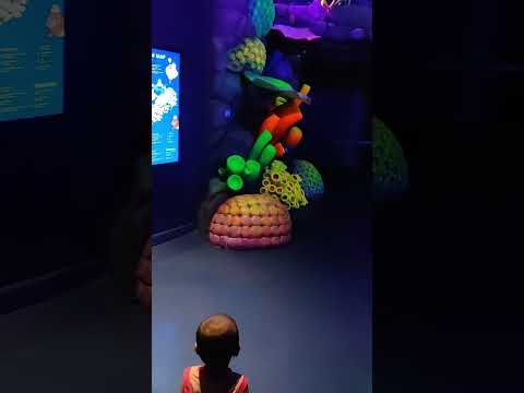 Just WoW😍 | ocean life in mall | Hanoi mall