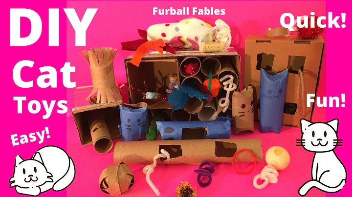 Easy DIY Cat Toys from Stuff you have around the House