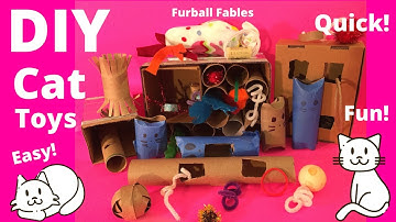 Easy DIY Cat Toys from Stuff you have around the House