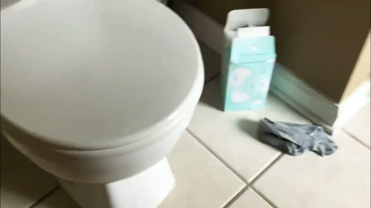 Whistling Toilet YouTube