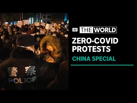 Protests erupt across China over zero-covid policy | The World