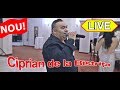 Ciprian de la Bistrita - Te rog ursitoare buna - Live Nou