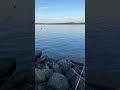 Водохранилище Новотроицкое. Горячий сброс💥🐠🌊 #рыба #спиннинг #хищник #щука #красота #отдых #вода