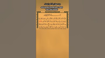 سورة النساء _الصفحة ١٠٥ الحزب ١١ الجزء ٦ بصوت الشيخ مجدي البلتاجي برواية ابن دكوان عن ابن عامر#