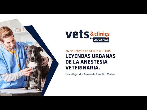 Video: Mitos De La Anestesia Y Leyendas Urbanas En Medicina Veterinaria