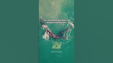 8 Nguyên tắc sống của người khôn ngoan.