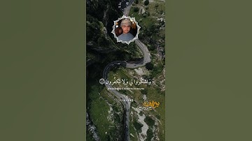 #سورة_البقرة تلاوة هادئة وجميلة بصوت القارئ|يوسف العبيدي ✨ #قرآن #quran