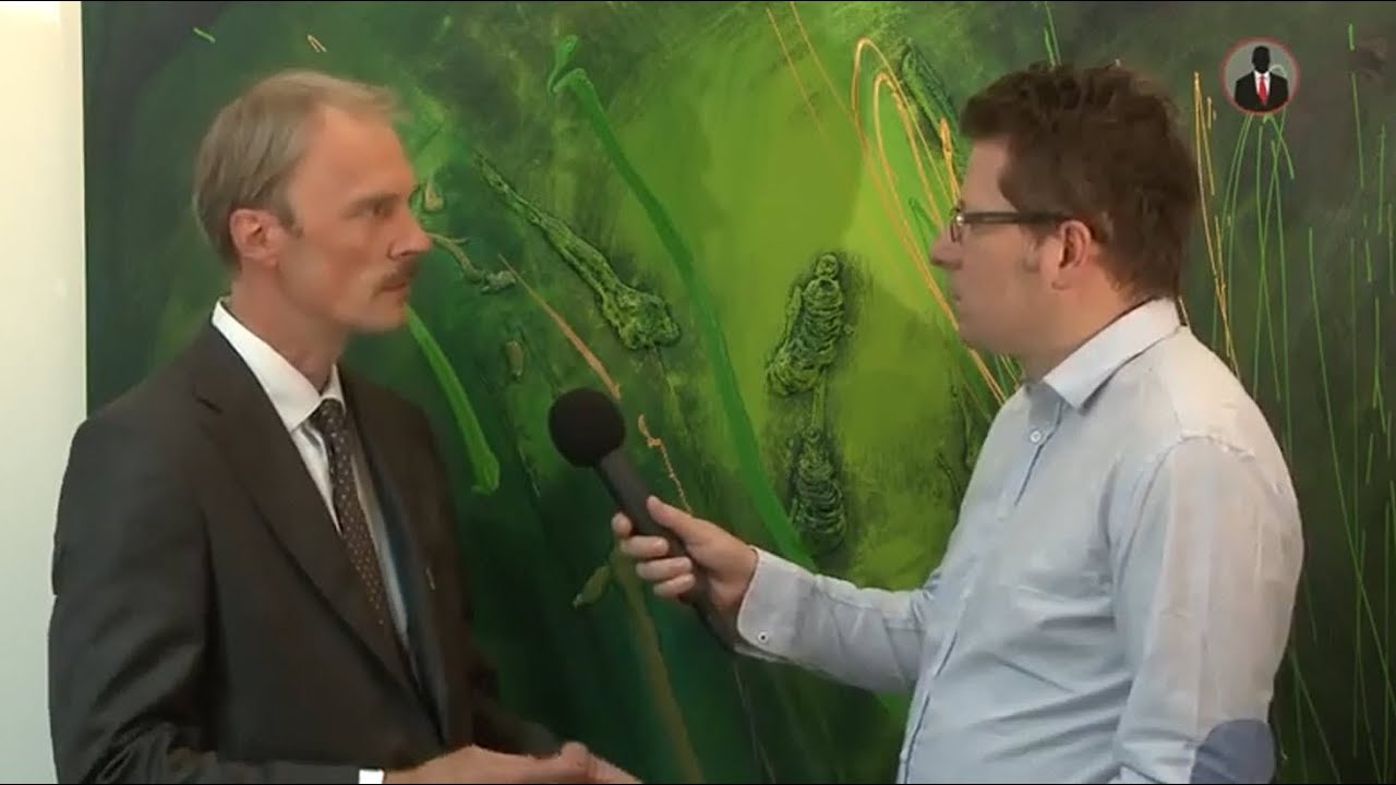 Wirtschaftskriminalität Stephan Brannys Interview  Die Studie
