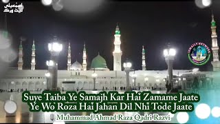 Ye Wo Roza Hai Jahan Dil Nhi Tode Jaate | Beautiful Kalam 2018 | By Muhammad Ahmad Raza Qadri Razvi
