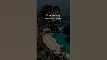 سورة فصلت { ٤٠ _ ٤٢ } #القرآن_الكريم #ماهر_المعيقلي #quran #استغفر_الله