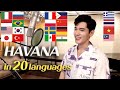 Havana (Camila Cabello) 1 Guy Singing in 20 Different Languages - Cover by Travys Kim