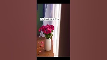 تلاوه عطرة من القارئ طارق محمد سورة الرعد