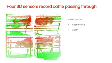 Automatic Dairy Cattle Lameness Detection System