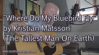 Where Do My Bluebird Fly - Tallest Man On Earth - cover screenshot 4