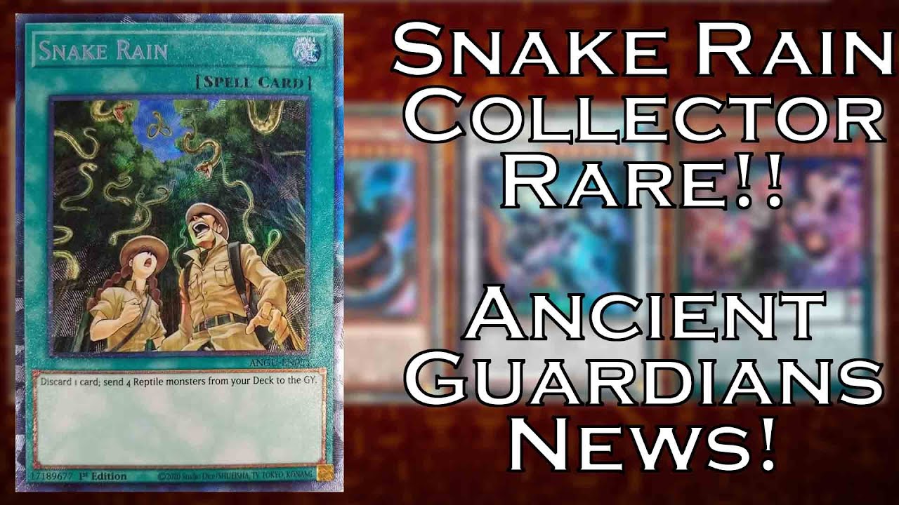 Snake Rain Collector Rare! | Waifu's Overrated | Yugioh Ancient ...