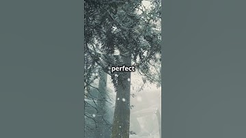 The largest snowflake ever recorded was 15 inches wide #facts #naturetrivia #sciencefacts #winter