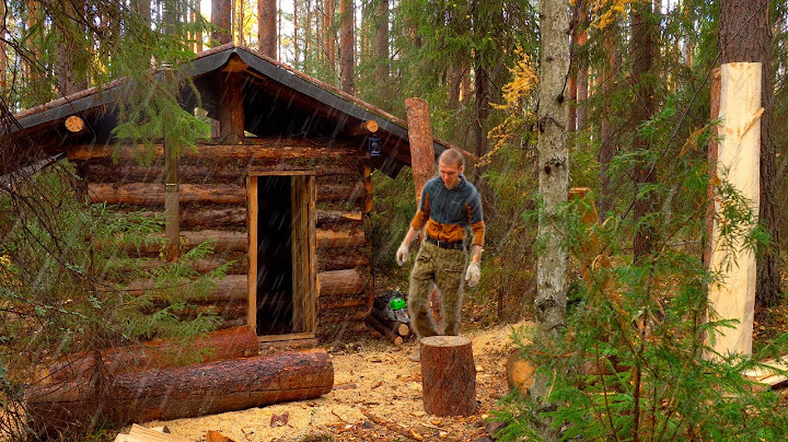 J'ai construit une cabane dans la forêt sauvage. Du début à la fin. Première expérience.
